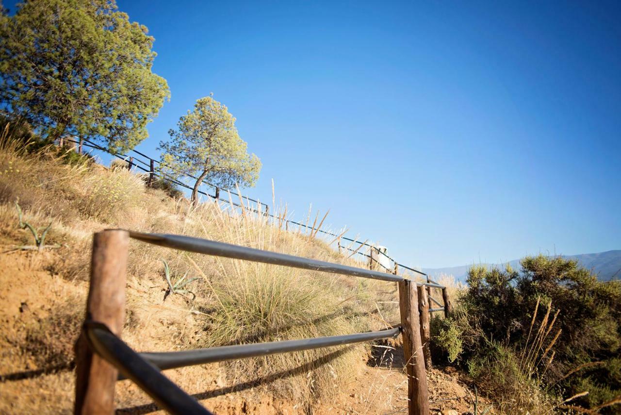 Penzion Cuevas De Rolando Guadix Exteriér fotografie